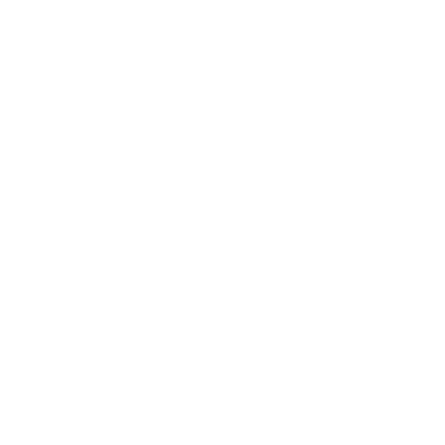 London Transport Management Logo